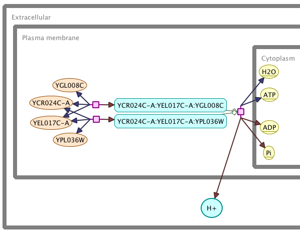 Partial screenshot of an SBGN diagram rendered in Arcadia